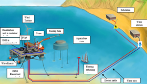 Image demonstrating MUSICA platform Musica platform